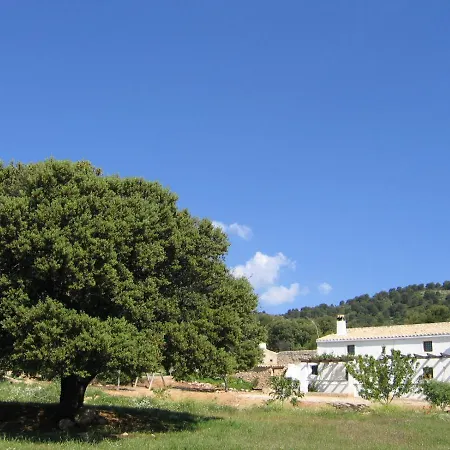 Casas Rurales Cortijo Cerro Fuentes Nuevas Castril Exterior photo