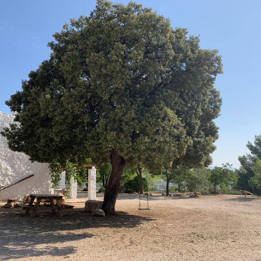 Holiday home Cortijo Cerro Fuentes Nuevas