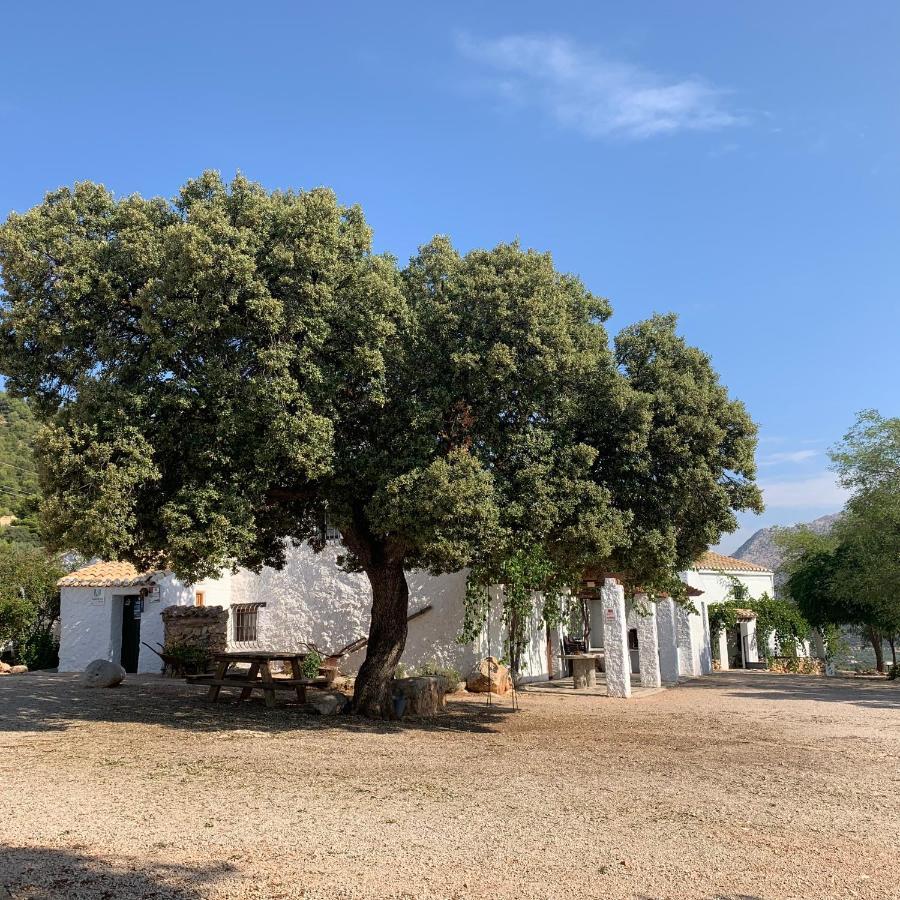 Holiday home Cortijo Cerro Fuentes Nuevas *