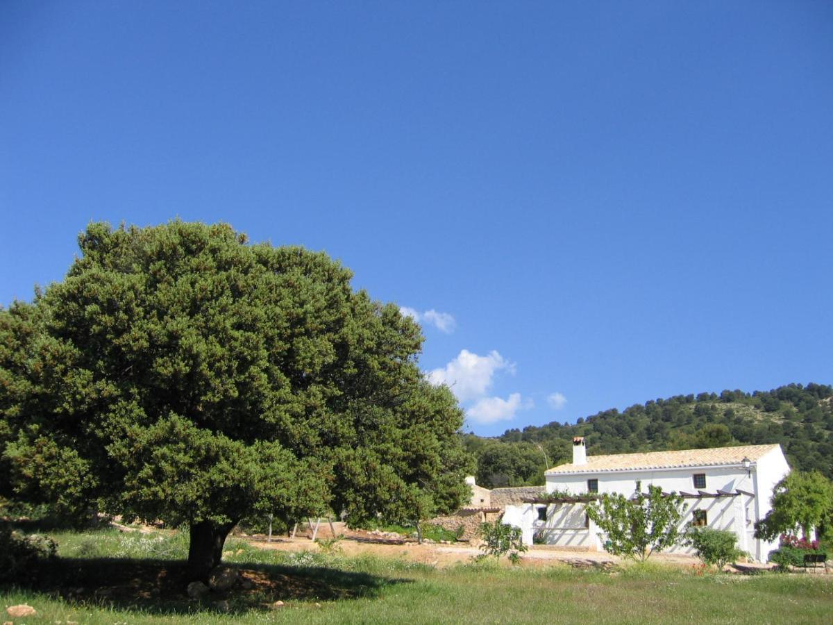 Cortijo Cerro Fuentes Nuevas *